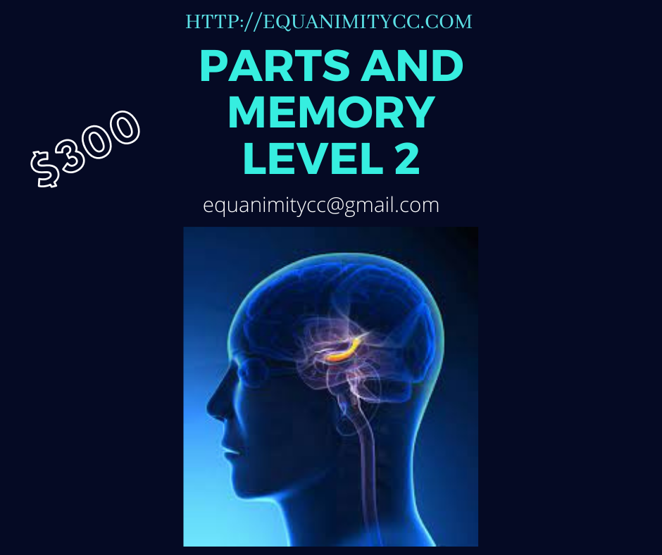 "Parts and Memory Therapy Level 2 advanced training course | Equanimity Counseling Las Vegas"
